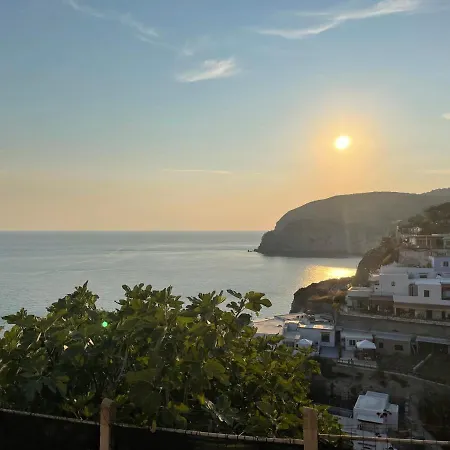 Casa Assunta فندق مبيت وإفطار Sant'Angelo (Isola d'Ischia)