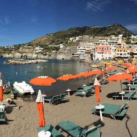 Casa Assunta فندق مبيت وإفطار Sant'Angelo (Isola d'Ischia)