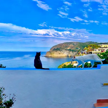 Casa Assunta Sant'Angelo (Isola d'Ischia)