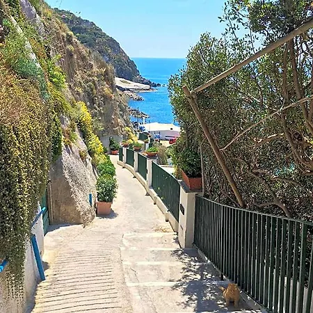 فندق مبيت وإفطار Casa Assunta 3*