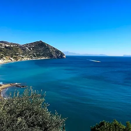 Casa Assunta فندق مبيت وإفطار Sant'Angelo (Isola d'Ischia)