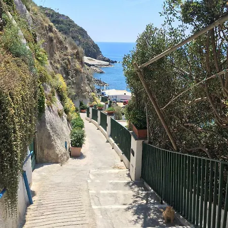 Casa Assunta Sant'Angelo (Isola d'Ischia)