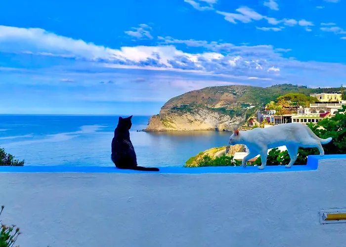 Casa Assunta Sant'Angelo (Isola d'Ischia)